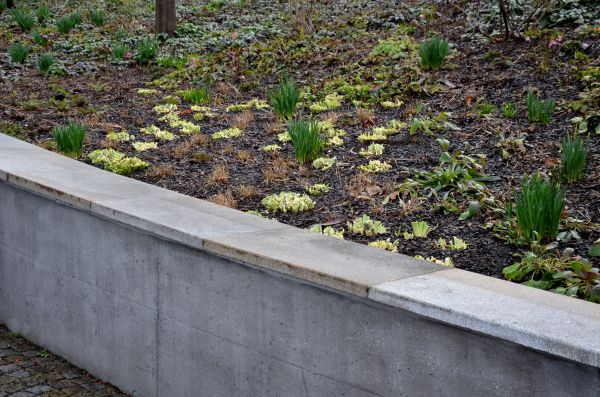 Concrete Wall Construction in Redding