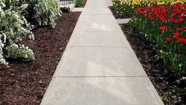 Cost of Sidewalk Slab Replacement in Redding