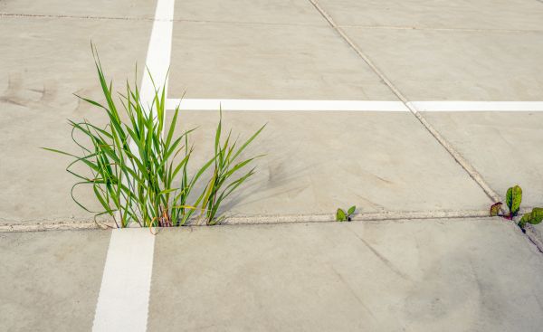 Concrete Parking Installation in Redding