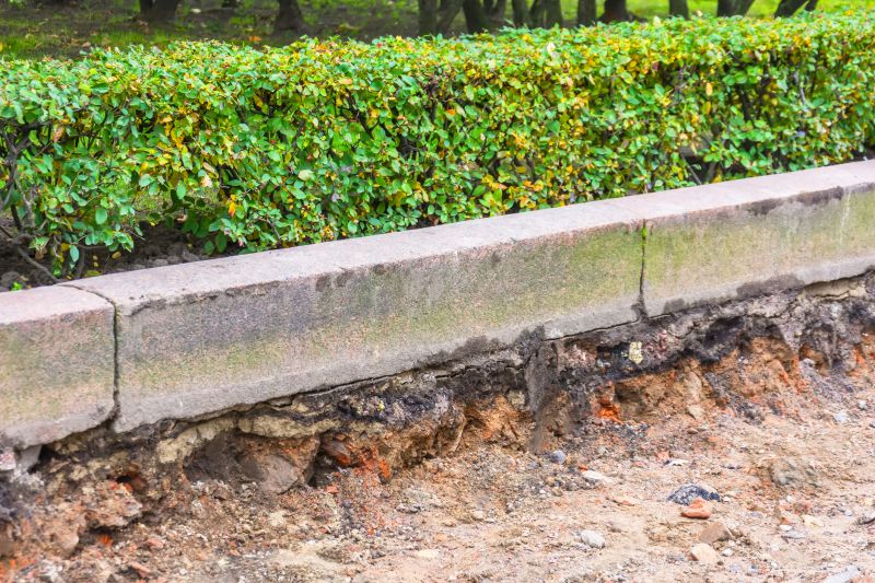 Concrete Edging Service